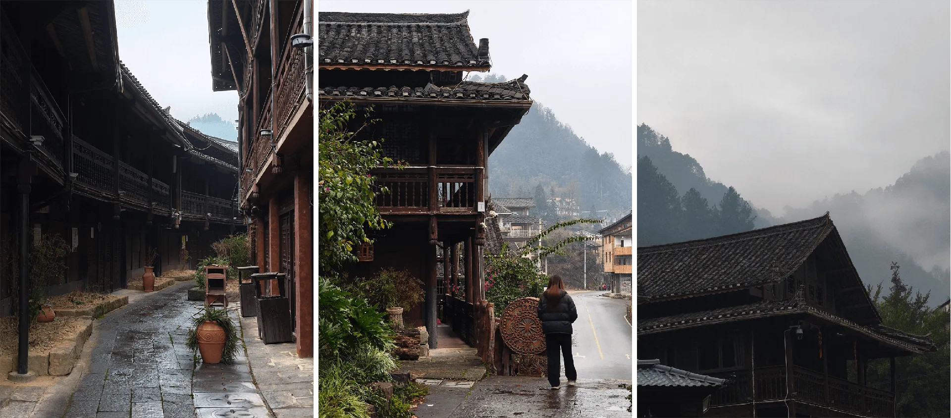 图片_20260305013048_494_74.png